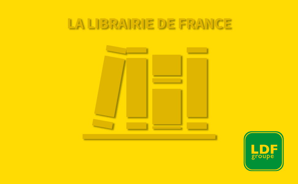 Librairie de France Groupe: de Brick and Mortar à Bricks and Clicks
